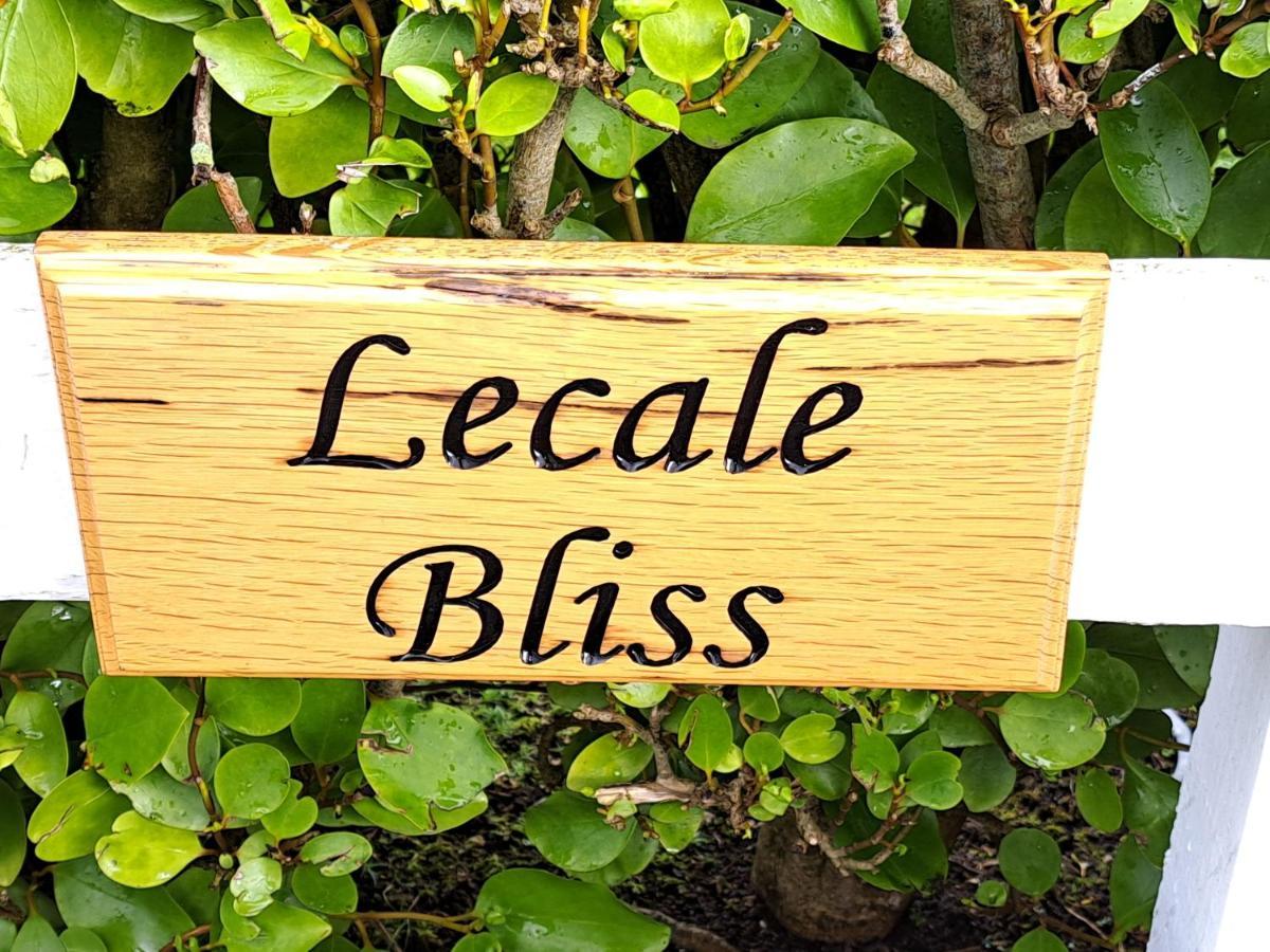 Lecale Bliss Bed and Breakfast Downpatrick Eksteriør billede