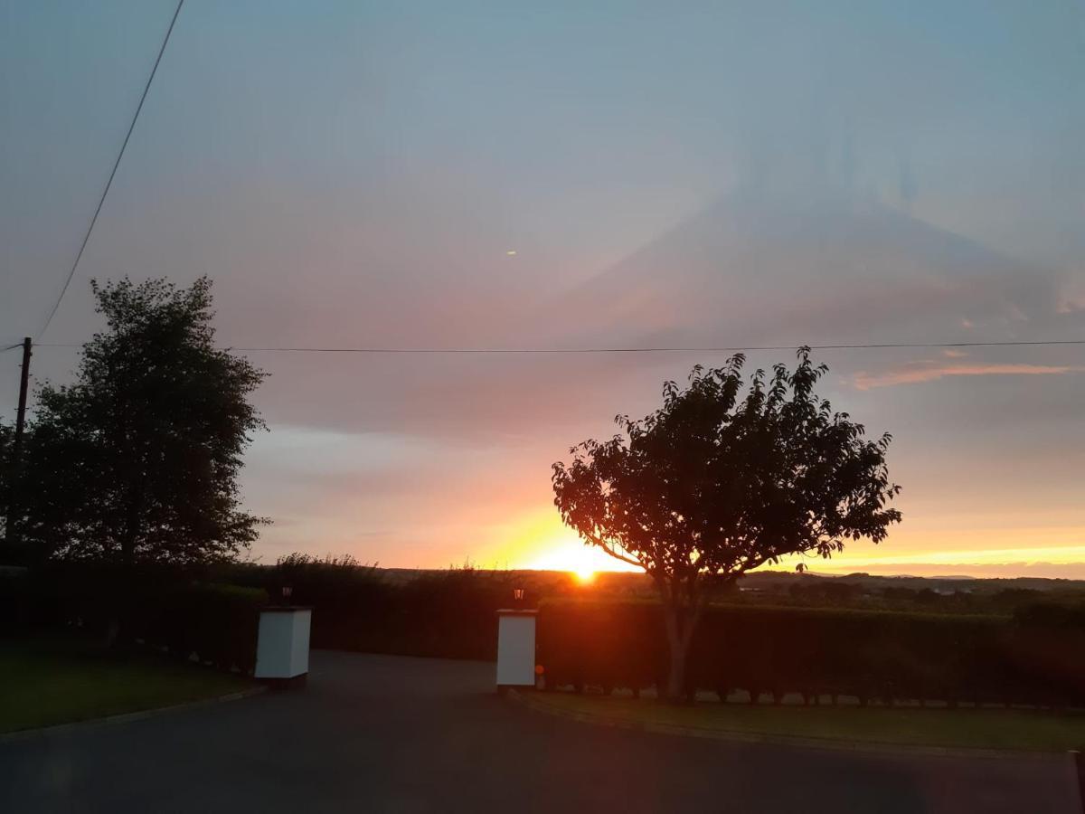 Lecale Bliss Bed and Breakfast Downpatrick Eksteriør billede